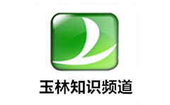玉林知识频道