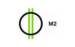 M2