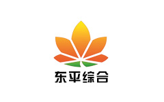 东平综合频道