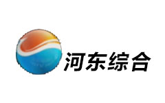 河东综合频道