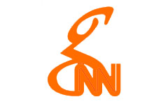 GNN